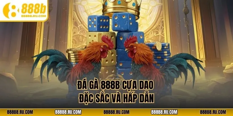 Đá gà 888B cựa dao đặc sắc và hấp dẫn