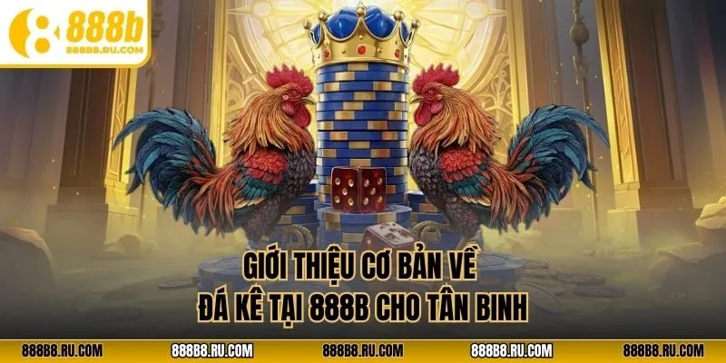 Giới thiệu cơ bản về đá kê tại 888B cho tân binh