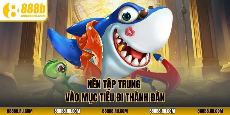 Nên tập trung vào mục tiêu đi thành đàn